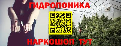 прущие крисы Краснознаменск