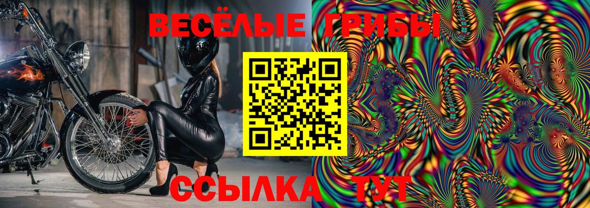 Кингисепп  Галлюциногенные грибы GOLDEN TEACHER  Галлюциногенные грибы Magic Shrooms  хочу   Вход с VPN 