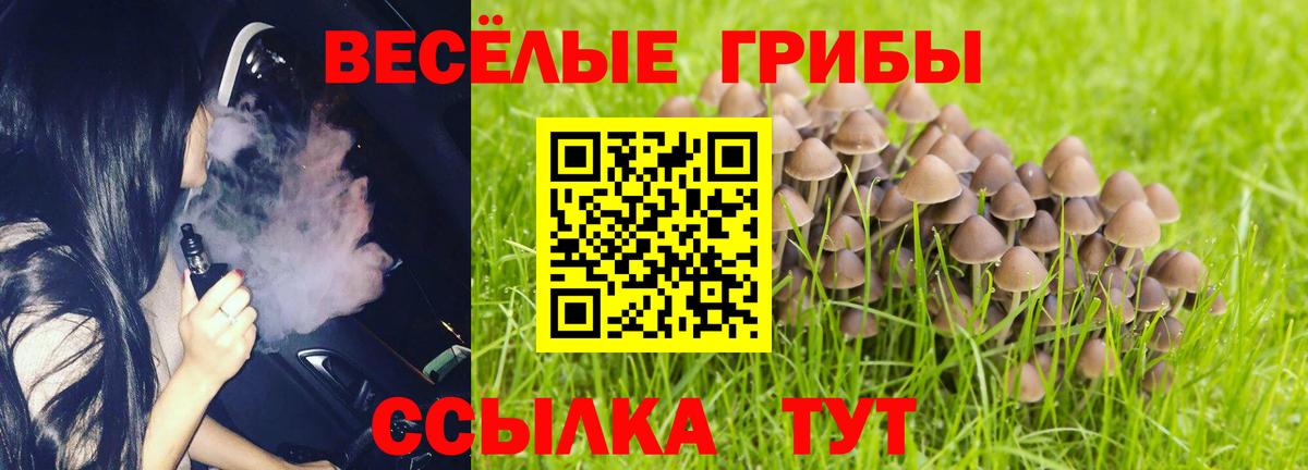 Галлюциногенные грибы ЛСД Кингисепп